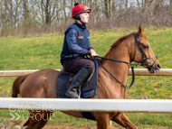 BP200326-28 - It's Hard To Know